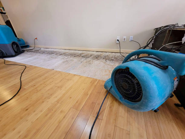 Professional Water Damage Repair technician working in East Hampstead, NH